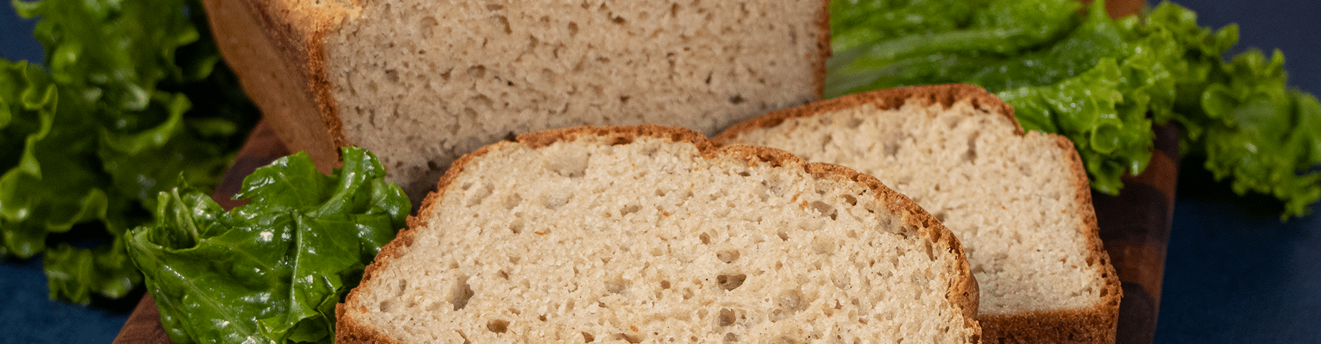 gluten free dairy free sandwich bread
